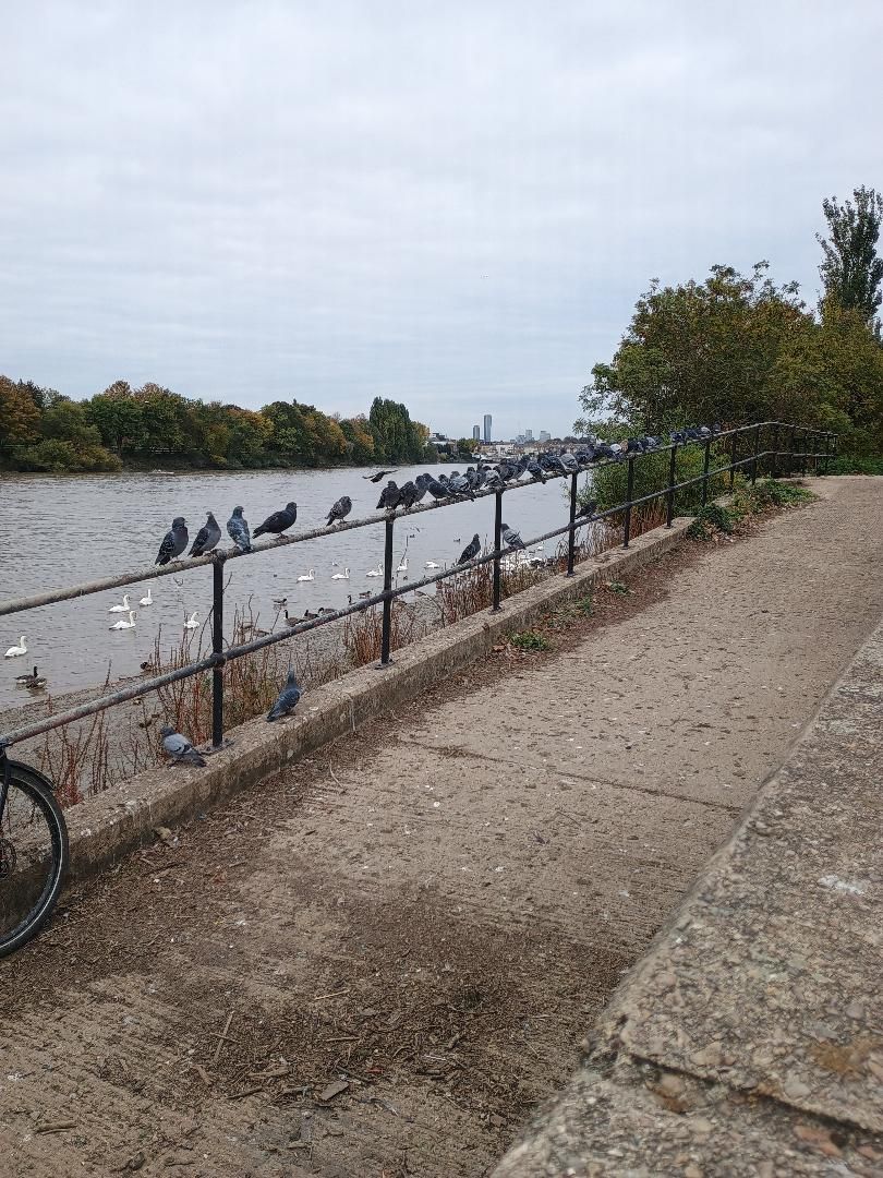 Thames Barnes